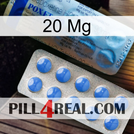 20 Mg 40